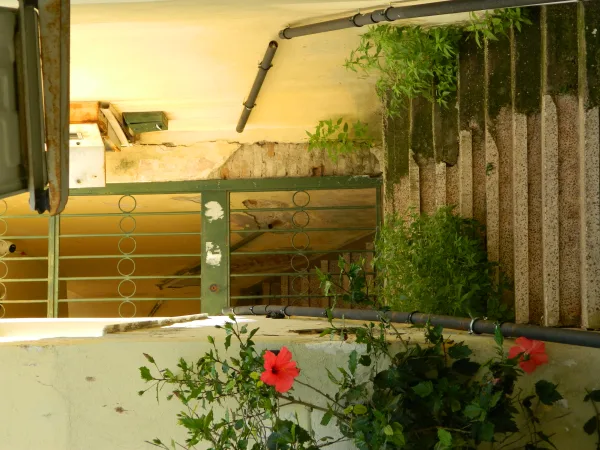 Attaleia Arşiv — Street